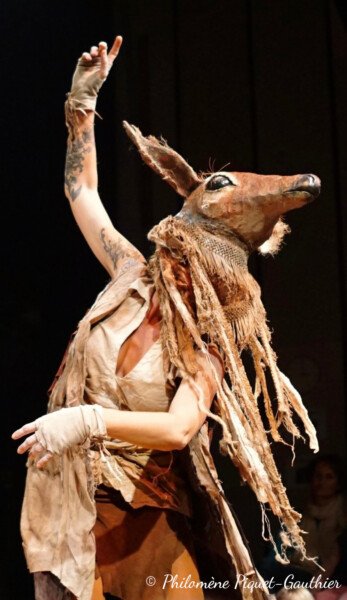 CREATOR: gd-jpeg v1.0 (using IJG JPEG v62), quality = 82